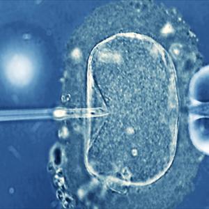 Amazing Fertility Stories - How To Stop Male Infertility. 