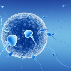 Women Fertility Cycle - Infertility Statistics-What The Numbers Really Mean