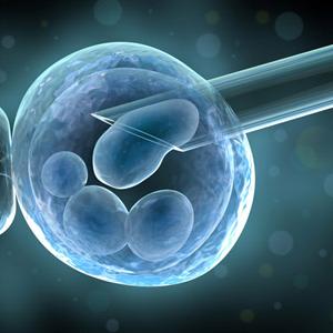 Fertility Calculator - Infertility & Taxes