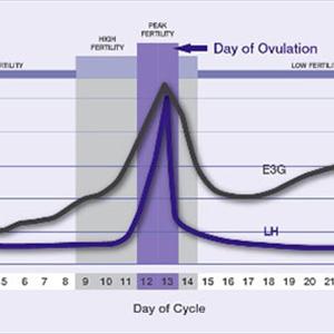 Vitamin B6 Luteal Phase Defect - Safer Alternatives: Fertility Drugs May Increase Womb Cancer Risk