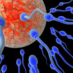 When Will I Ovulate Calendar - Review On How To Get Pregnant Quickly And Naturally In 2 Months - Part 1